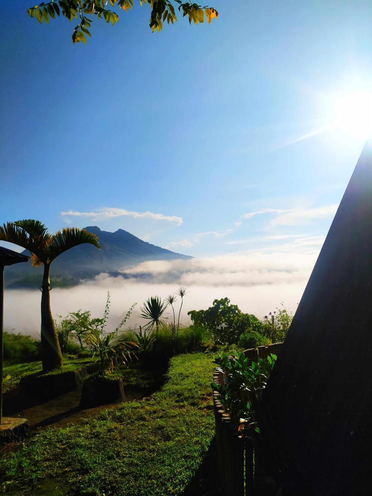Kintamani Adventures 'Hide In Nature Lodge' Extérieur photo