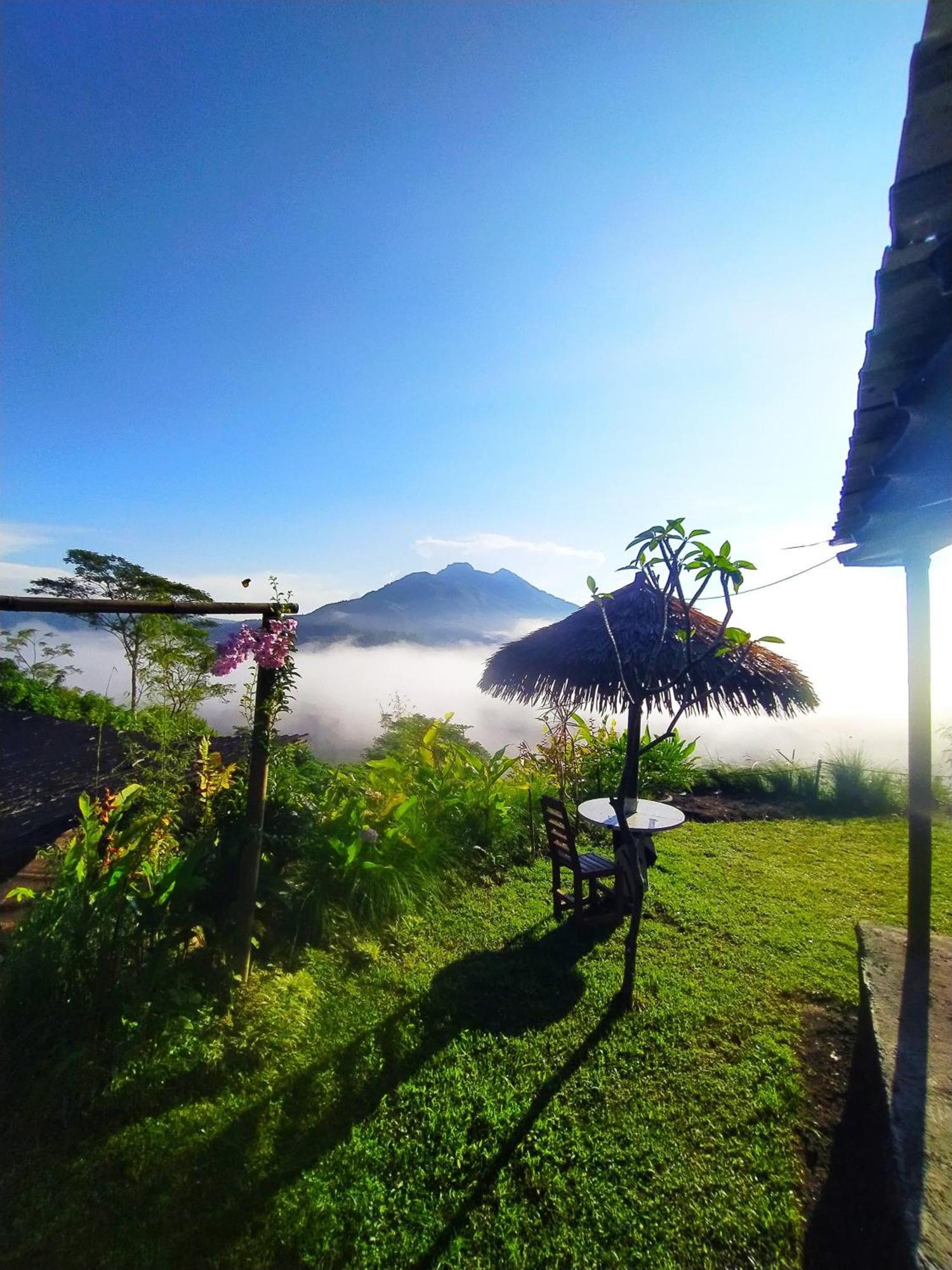 Kintamani Adventures 'Hide In Nature Lodge' Extérieur photo